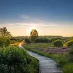 Cote Terrasse Penzion Malmedy