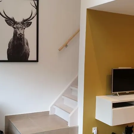 Pensjonat Cote Terrasse 4*