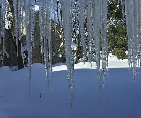 Pensjonat Cote Terrasse