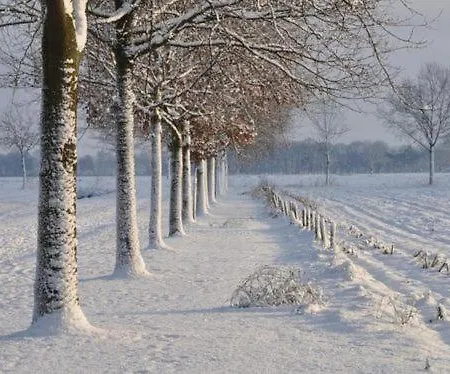 Cote Terrasse Malmedy