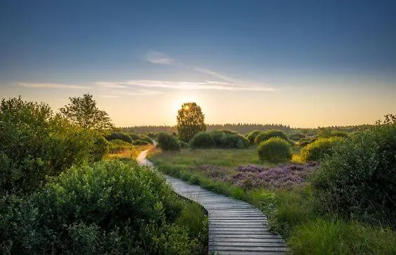 Côté Terrasse Affittacamere Malmedy
